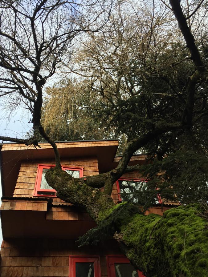 פורטו ואראס Almabosque Cabanas מראה חיצוני תמונה