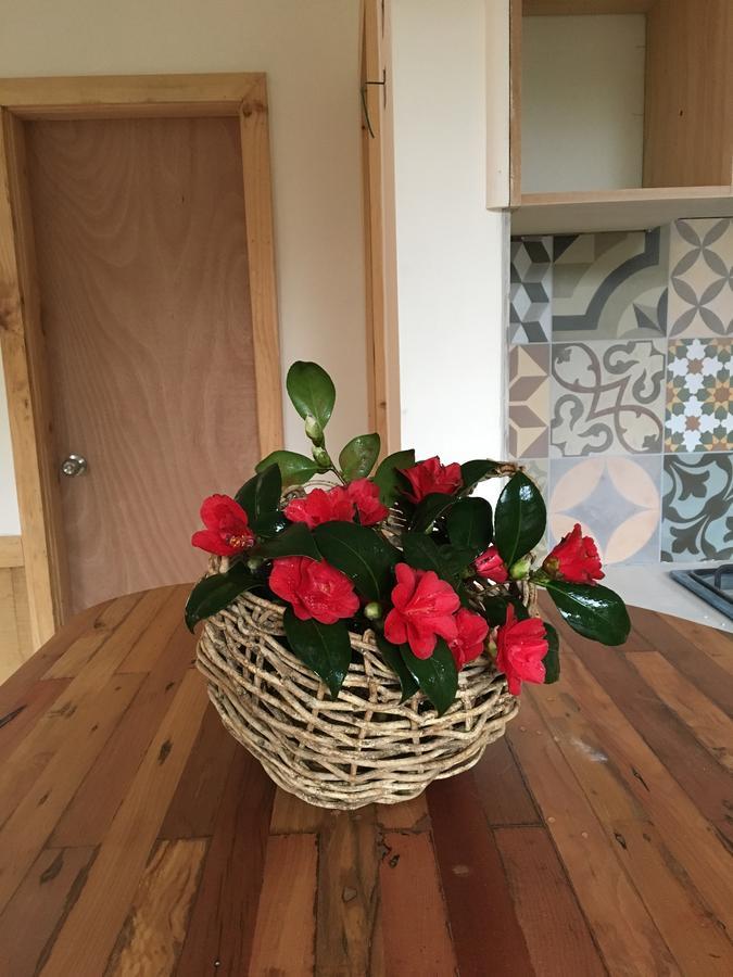פורטו ואראס Almabosque Cabanas מראה חיצוני תמונה