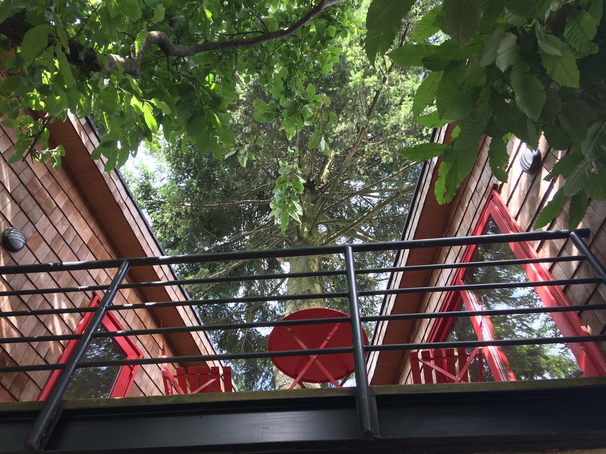 פורטו ואראס Almabosque Cabanas מראה חיצוני תמונה